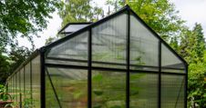Gewächshaus Polycarbonat